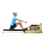 Гребной тренажер WATERROWER A1 Studio с дисплеем S4 (ясень окрашенный черный)