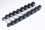 Гантели в уретане LIVEPRO Studio Dumbbells 2 кг, черный/синий