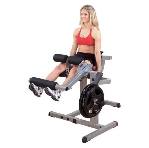 Body-Solid GCEC-340 - тренажер для разгибания и сгибания ног сидя (маятник).