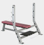 Профессиональная горизонтальная скамья для жима штанги лежа Body-Solid ProClub SFB349G