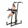 Стойка "Турник-Брусья-Отжимания" Body-Solid FCD