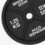Диск олимпийский BRONZE GYM чугунный 1,25 кг окрашенный 51 мм.