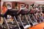 Беговая дорожка AeroFIT Pro 9900T 19" LCD