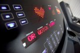AeroFIT Pro 9900T  Беговая дорожка
