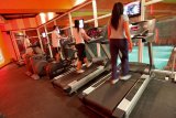 AeroFIT Pro 9900T  Беговая дорожка