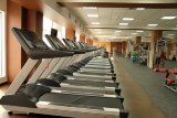 AeroFIT Pro 9900T  Беговая дорожка