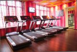 AeroFIT Pro 9900T  Беговая дорожка