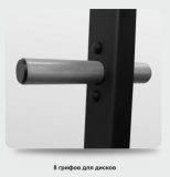 BRONZE GYM AL-318 Силовая полурама с турником