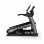 Беговая дорожка TRUE Alpine Runner