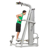 Hoist RS-1700 Гравитрон (турник с противовесом) Platinum