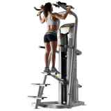 Hoist RS-1700 Гравитрон (турник с противовесом) Platinum