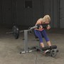 Маятниковый тренажёр для мышц живота и спины сидя Body-Solid ProClub GCAB360