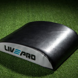 Мат для пресса LIVEPRO AB Mat черный/синий