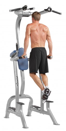 Стойка турник / брусья / поднятие колен, пресс Hoist CF-3962 Fitness Tree