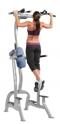 Стойка турник / брусья / поднятие колен, пресс Hoist CF-3962 Fitness Tree