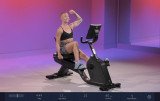 Schwinn 590R Горизонтальный велотренажер