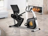 Hasttings Wega RS400 Велотренажер