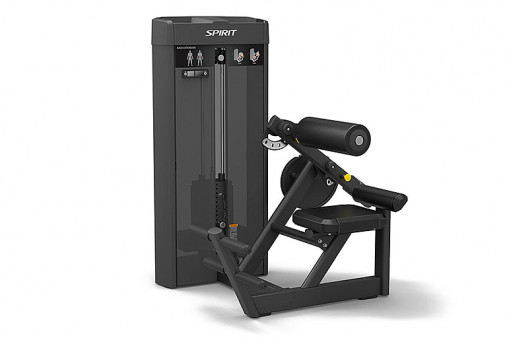 Разгибание спины Spirit SP-4310