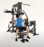 Мультистанция Horizon Home Gym Torus 5 со встроенным стеком 80кг