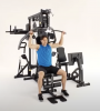 Мультистанция Horizon Home Gym Torus 5 со встроенным стеком 80кг